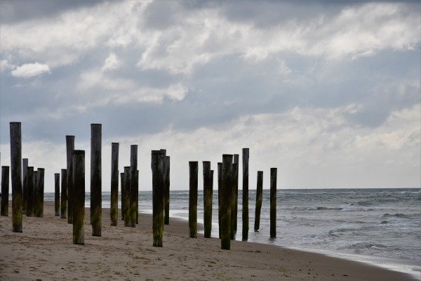 Petten Strand - (c) R Herling.jpg